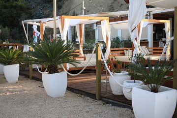 Seashore with sunbeds and potted palms on summer day