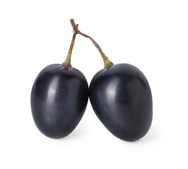 Two ripe dark blue grapes isolated on white