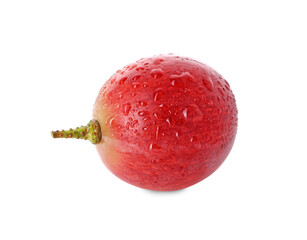 One ripe red grape with water drops isolated on white