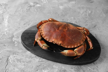 Delicious boiled crab on grey textured table, space for text
