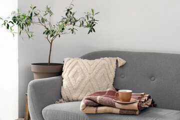 Cozy grey sofa with warm blanket and cup of hot tea in living room