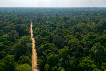 Aerial drone view of dirt road in sustainable logging area surrounded by dense Amazon rainforest - obrazy, fototapety, plakaty