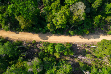 Aerial drone view of dirt road in sustainable logging area surrounded by dense Amazon rainforest