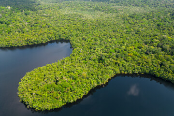 Aerial drone view of pristine Amazon rainforest framing a river