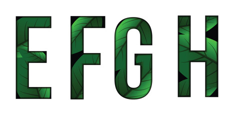 Green leaves font Alphabet e, f, g,h, text effect. Made of Real alive leaves with Precious paper cut shape of letter. Collection of brilliant leaves font for unique decoration in spring concept idea