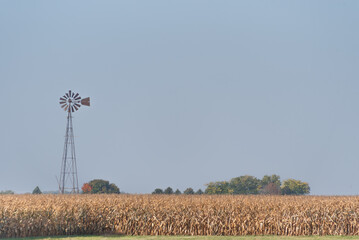 Wind in a field 