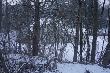 Winter house seen  through trees