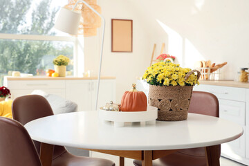 Chrysanthemum flowers with pumpkins on dining table in kitchen