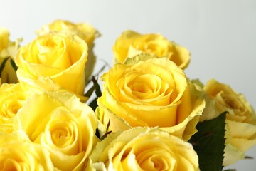 Beautiful bouquet of yellow roses on light grey background, closeup