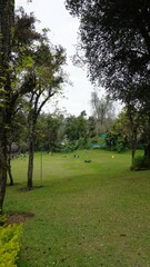 Fototapeta na wymiar Tourists enjoying the beautiful kodaikanal Bryant park.