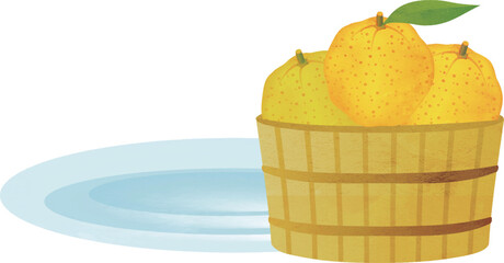 桶に入ったゆずの水彩画　イラスト素材