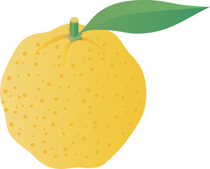 ゆずのシンプルなイラスト素材
