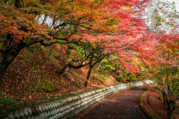 茨城県大子町　永源寺の紅葉