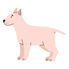 dog bull terrier