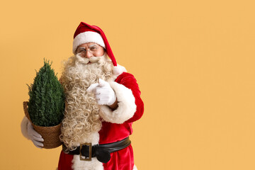Santa Claus with Cypress tree pointing at viewer on yellow background