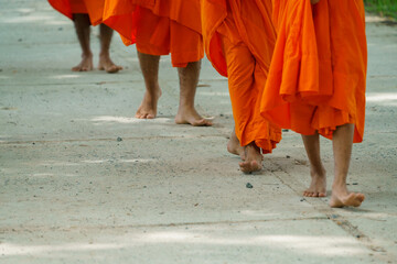 Buddhist monks walking on street in southern Vietnam.