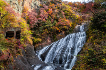 茨城県大子町　紅葉最盛期の袋田の滝