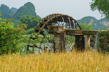 Rice field and wooden watermill. Antique waterwheel for watering system in Cao Bang, Vietnam.