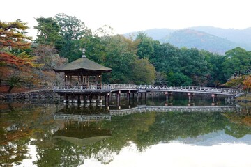 Fototapeta na wymiar 奈良　秋の鷺池と浮見堂