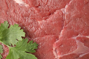 Piece of raw beef meat with parsley as background, top view
