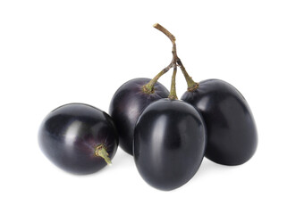 Delicious ripe dark blue grapes isolated on white