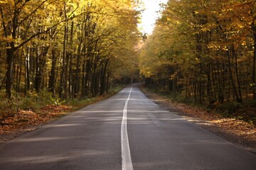 Fototapeta premium Beautiful view of asphalt road going through autumn forest