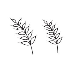 Hand drawn Kids drawing Cartoon Vector illustration wheat icon Isolated on White Background