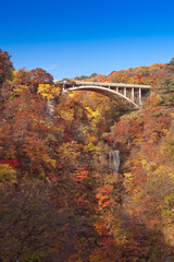 紅葉の鳴子峡と大深沢橋