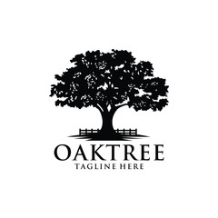 Obraz premium Oak tree logo template vector design