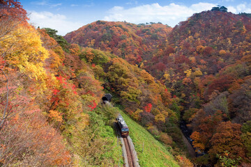 紅葉と鳴子峡とJR陸羽東線のリゾートみのり
