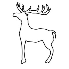 winter forest antler deer