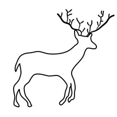 winter forest antler deer
