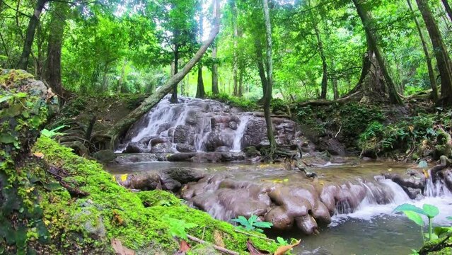 waterfall at lush green tropical forest in summer fresh season. sun rays shine through deep green jungle. refreshing time in the nature. timelapse of water flowing on black rocks fresh green moss