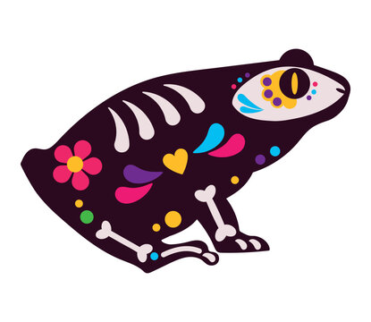 mexico animal frog