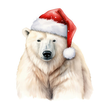 Watercolor Polar bear in a Santa Claus hat isolated on transparent background.