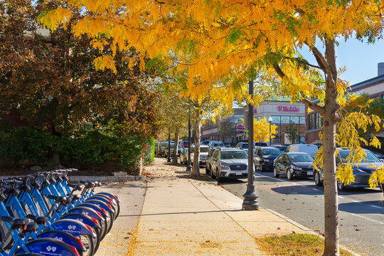 Washington street in autumn: A blend of nature, traffic, and urban tranquility, on October 28, 2023, Brighton, Massachusetts, USA