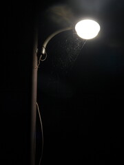 Spider web attached to a street light at night