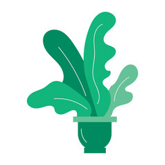 plant in the pot green leaf flat design