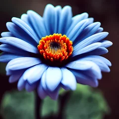 Deurstickers gerbera flower © ehtasham