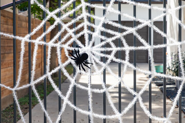 spider at a halloween net at the fence, Houston