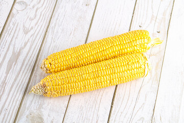 Sweet yellow raw corn cob