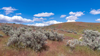 Boise Foothills Panoramic Landscape