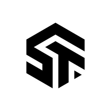 Creative letter ST hexagon monogram logo