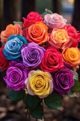 Colorful Roses
