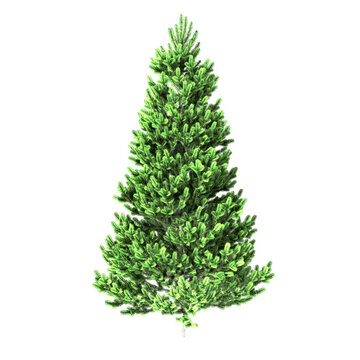 Green pine tree for Christmas and New Year celebrations. 3D rendering results of high quality images..​