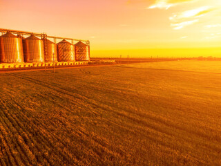 Grain silos on a green field background with warm sunset light. Grain elevator. Metal grain elevator in agricultural zone. Agriculture storage for harvest. Aerial view of agricultural factory. Nobody. © panophotograph
