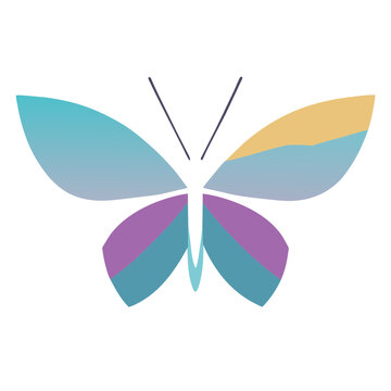 Minimalist Geometric Butterfly Vector Illustration, white Background