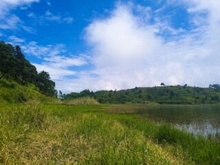 Fototapeta na wymiar meadow by the lake with bright blue sky