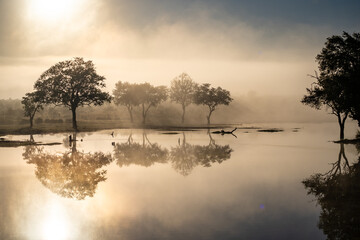 Savannah pond in the morning fog in Kruger National Park, South Africa