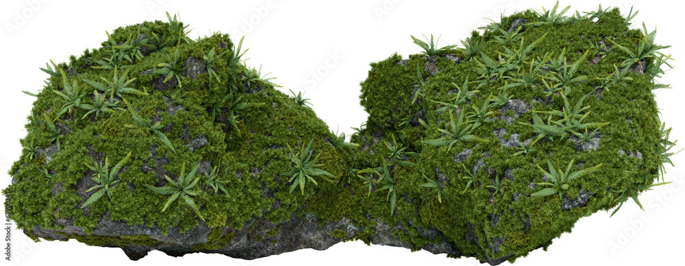 Poster moss plants on stone. 3d rendering of isolated objects.